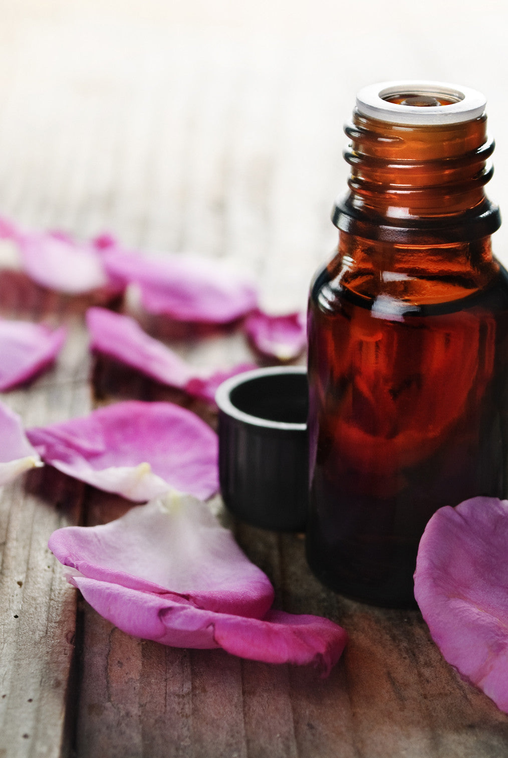 Rose Absolute Oil